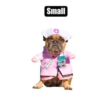 Pet dog novelty clothing nurse-small
