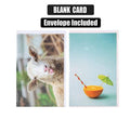 Card & envelope blanks