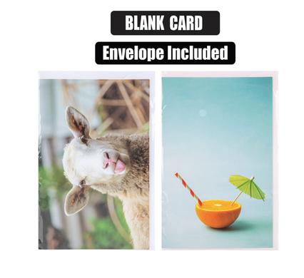 Card & envelope blanks