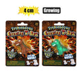 Novelty growing dragon 4cm